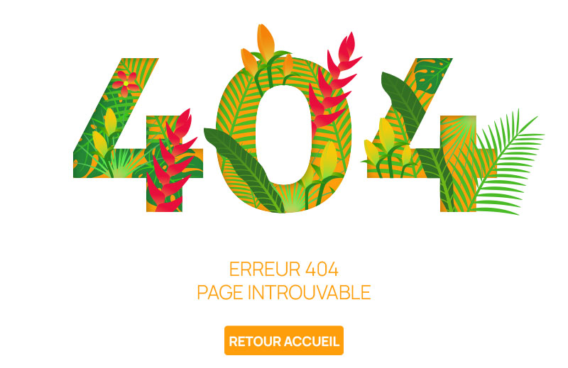 erreur 404