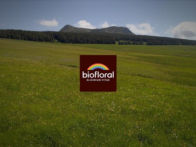 Biofloral - Film institutionnel 1 2024